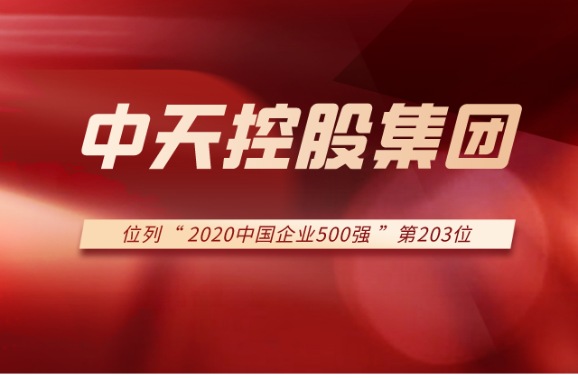彩虹多多集团列2020中国企业500强第203位！